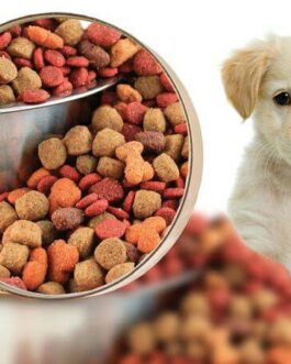 Hundefutter